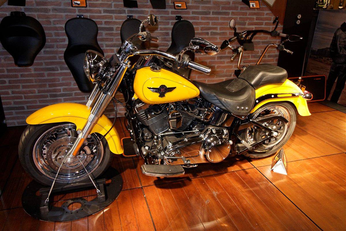 HARLEY-DAVIDSON SOFTAIL FAT BOY FLSTF 2009