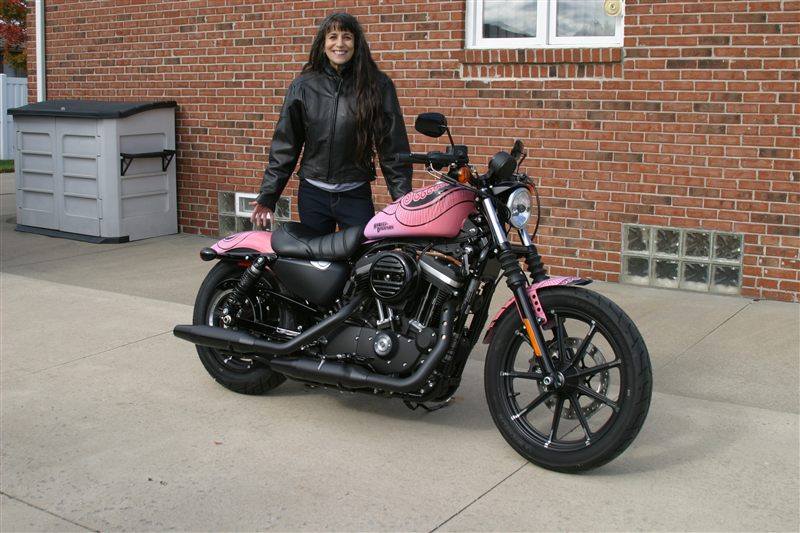 HARLEY-DAVIDSON SPORTSTER 883 IRON 2016 - 2017