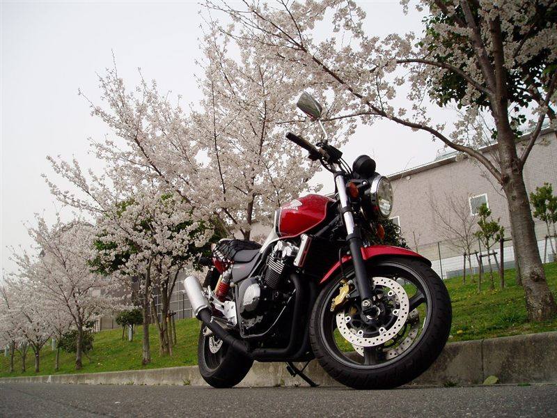 HONDA CB 400 SUPER FOUR 2006 - 2007