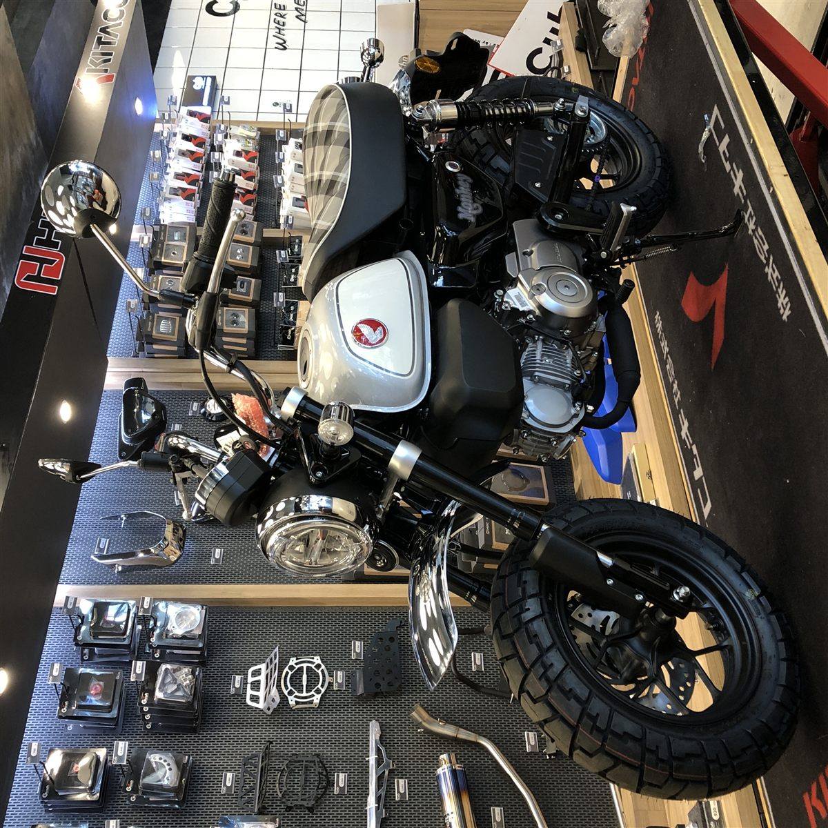 HONDA MONKEY 125 2022 - 2025