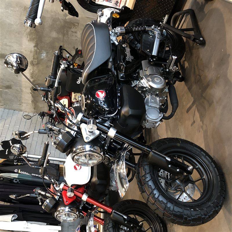 HONDA MONKEY 125 2022 - 2025
