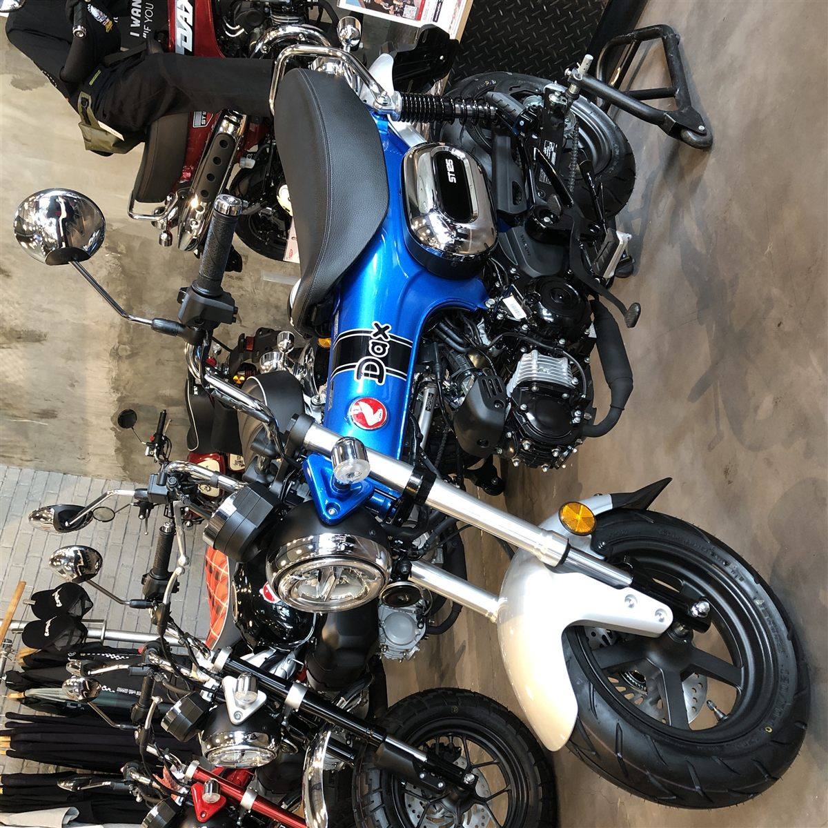 HONDA ST 125 DAX 2026